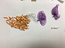 После паники при виде полиции у пассажирки такси нашли транквилизатор для слонов