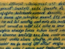 Калининградские ученые расшифровывают "инопланетное" послание