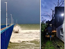 В Зеленоградске шторм повалил огромное дерево на жилой дом