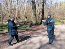 Пожарные в Калининграде спасли утратившую ориентацию утку с утятами