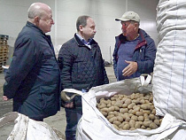 Калининградские аграрии отметят "День балтийского поля"