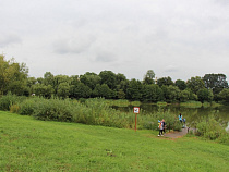 При благоустройстве Летнего озера вырубят 11 деревьев 