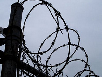 За угон машины и убийство калининградке грозит 14 лет 8 месяцев тюрьмы