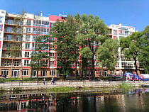 Власти повторно разрешили закатать в бетон речку Светлогорку