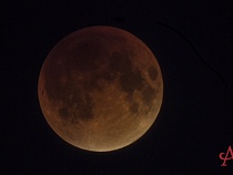 В Калининграде сняли фильм о последнем лунном затмении (видео)