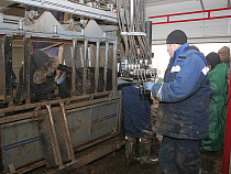  Забой скота разрешен в Калининградской области только на девяти предприятиях