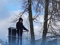 Глава Краснознаменска лично спас кота 