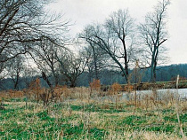 Крикуна оштрафовали из-за заросших мелиоративных каналов под Краснознаменском