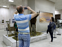 Ко Дню России все музеи Калининграда и области будут работать бесплатно