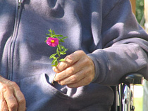 3 декабря отмечается Международный день инвалидов