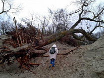 МЧС: к четвергу ветер усилится до 25 м/с