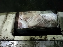 Калининградец спрятал свинину в бензобаке