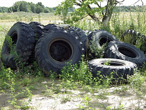 Экологи: Стройка “Автотора” стала нелегальным янтарным карьером
