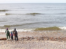 Как получить кешбэк с путёвки в детский лагерь отдыха