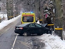 В дерево с детскими игрушками под Багратионовском врезался «Фольксваген»