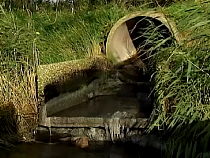 Калининград сравнили с ночным горшком Европы