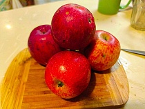 В Калининградскую область через границу прорывалась многоликая угроза