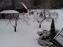 На востоке Калининградской области выпал снег