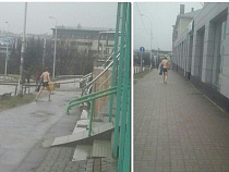 Калининградец проводил зиму прогулкой в одних трусах (фото)