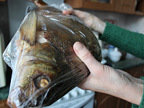 В Калининградской области планируют добывать 260 тысяч тонн рыбы