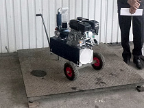 Мужик остался без доильного аппарата, который вёз из Литвы 