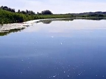 В Полесске рыбаки сняли выброс нечистот с предприятия в Дейму