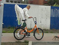 Калининградцы сфотографировали разгуливающего по городу «ангела»