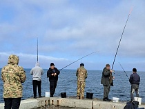 В Балтийске потемнело от носителей от серебряной «лихорадки»