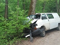 Пьяный водитель разбил о дерево микроавтобус под Гвардейском