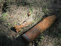 В Московском районе обезвредили снаряд времен ВОВ 