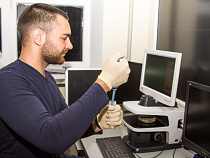 В Калининграде  придумали парфюм с запахом янтаря