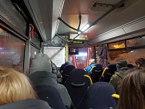 В Калининградской области ещё на 20 водителей автобусов составили протоколы