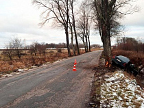 Под Калининградом 21-летняя девушка на «Мерседесе» влетела в дерево 