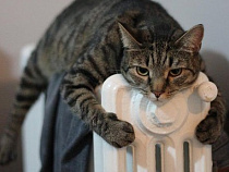 Коммунальщики приучают калининградцев к холоду