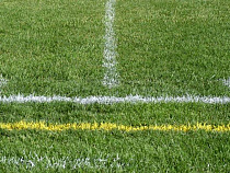 Реконструкция тренировочной площадки на Сельме к ЧМ-2018 обойдется в 120,4 млн рублей