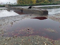 На поля с кровью под Зеленоградском выехали прокуроры 