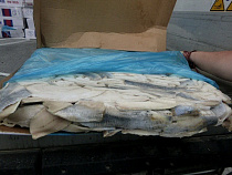 Таможня задержала почти две тонны «лишнего» филе сельди из Московской области