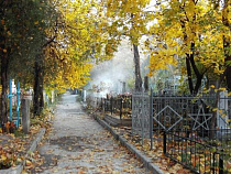 В Калининграде на старом кладбище обнаружены фрагменты человеческого тела