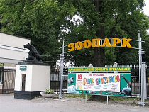 В Калининградском зоопарке отметят День птиц
