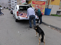 В октябре подешевели картофель, капуста и лук