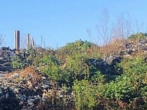 Минприроды взялось за свалку в Светлом 