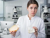 В Калининградской области продавали сомнительный сыр из Подмосковья