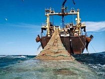 В Калининграде бывший гендиректор помог следствию по делу о сокрытии миллионов