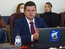 Калининградский депутат Плавский извинился за сбитую собаку-поводыря