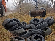 Зеленоградский район втихаря травили опасными отходами