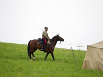 ГИБДД рекомендует добираться до «Гумбинненского сражения» на общественном транспорте