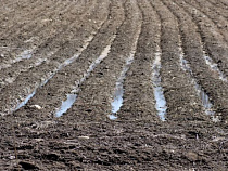 Компания «ЛОКО-СТРОЙ» оштрафована на 200 тысяч рублей