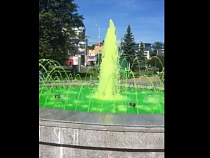 Антифриз в фонтан в Калининграде залила бывшая супружеская пара (видео)