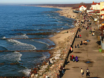 Зеленоградцы и краснознаменцы названы самыми честными 