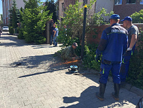 В Калининграде за полгода снесли более 100 самовольных построек